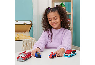 Paw Patrol True Metal Team Vehicle Assorted GML